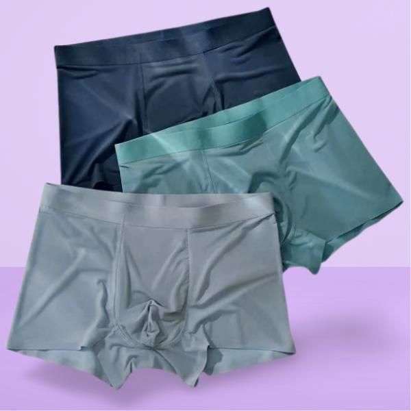 Men's Ice Silk Briefs Boxers (Pack of 3) Assorted Design